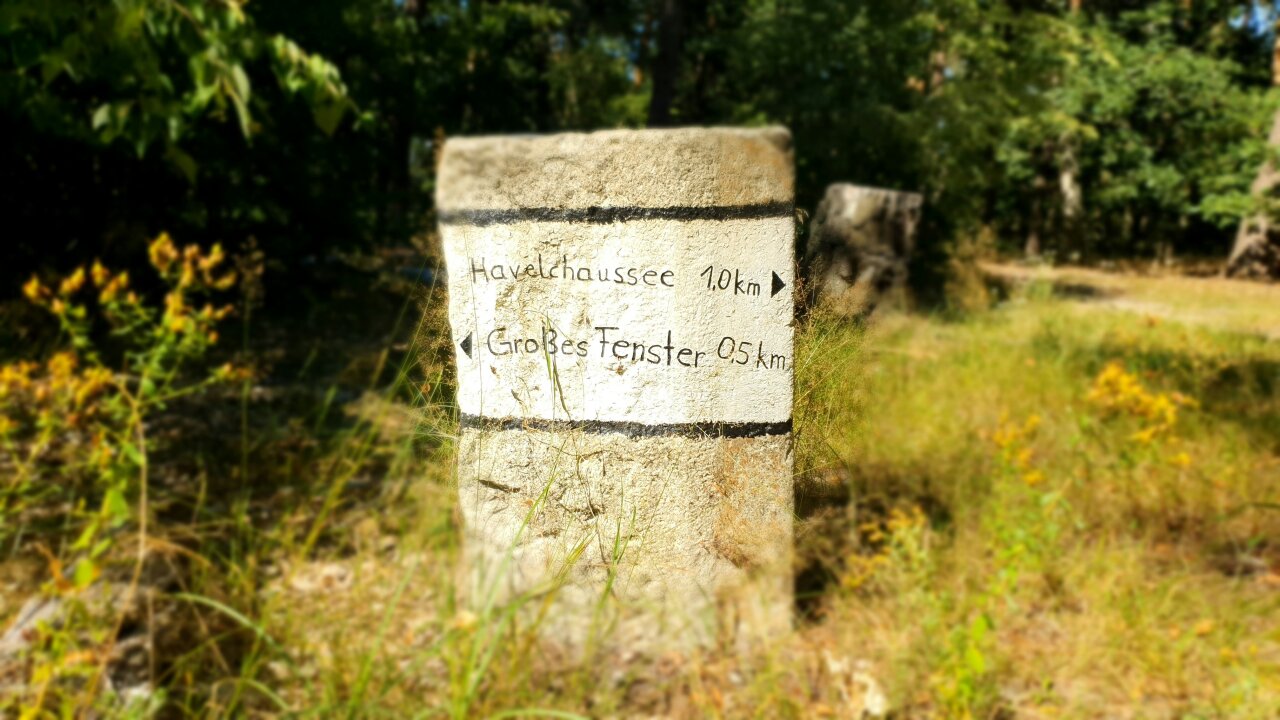 Steuerberatung in Grunewald, Berlin