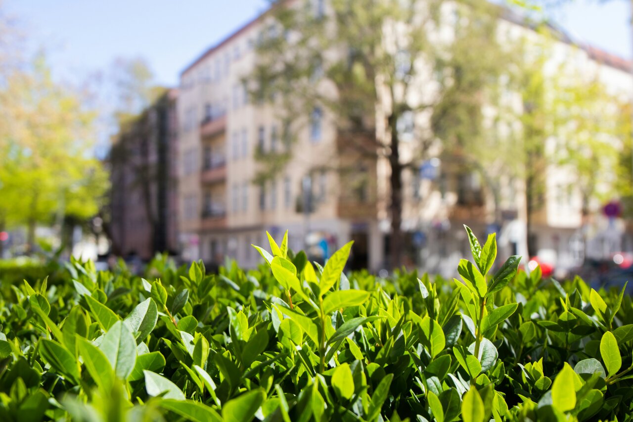 Steuerberatung in Wilmersdorf, Berlin