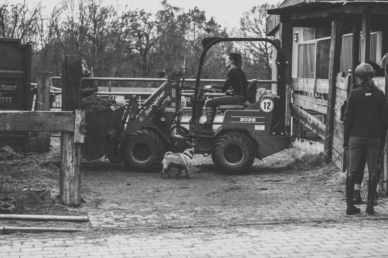 Steuerberatung in Zehlendorf, Berlin
