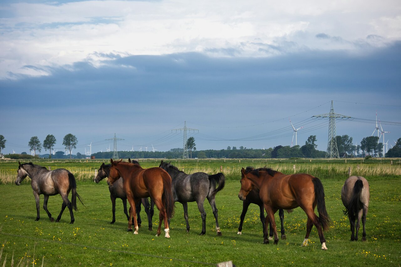 Steuerberatung in Leherheide, Bremerhaven