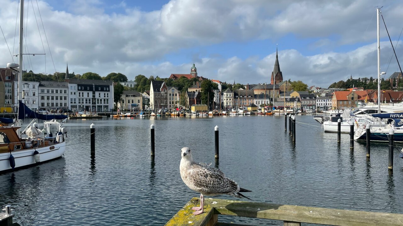 Steuerberatung in Engelsby, Flensburg