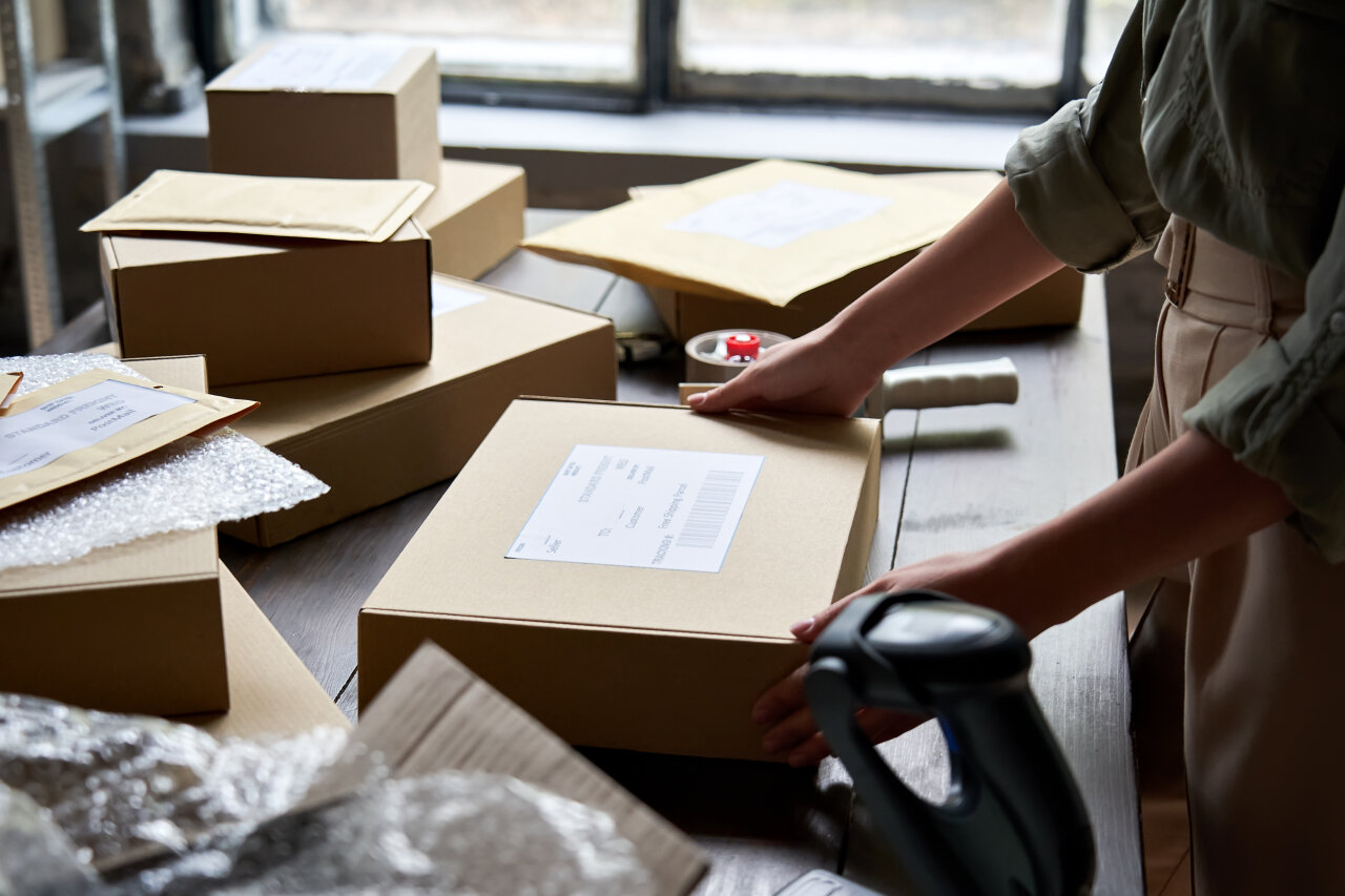 EGIDO: Ihr Steuerberater für Dropshipping